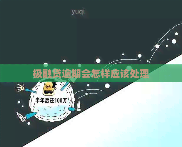 极融贷逾期会怎样应该处理