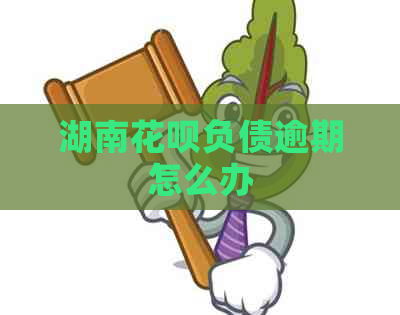 湖南白条负债逾期怎么办
