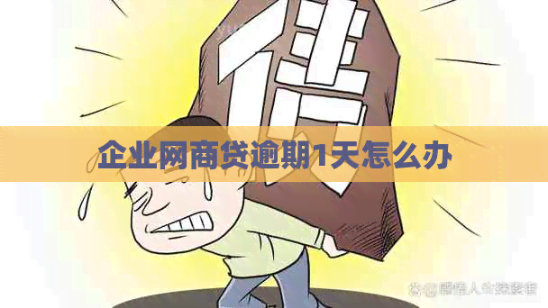 企业白条贷逾期1天怎么办