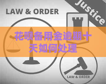 白条备用金逾期十天如何处理