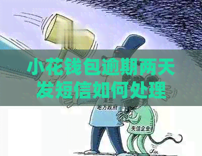 小花钱包逾期两天发短信如何处理