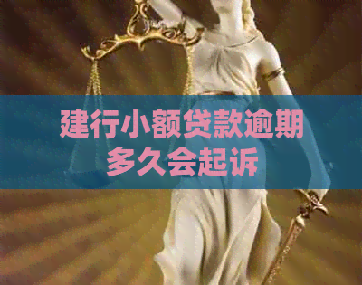建行小额贷款逾期多久会起诉