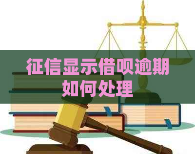 显示信用卡逾期如何处理