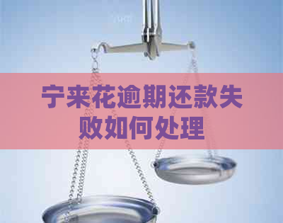 宁来花逾期还款失败如何处理