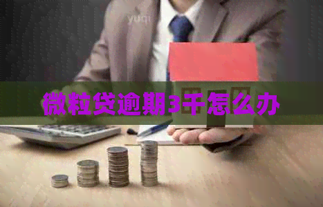 微粒贷逾期3千怎么办