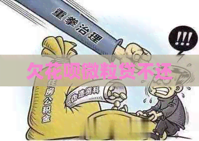 欠白条微粒贷不还