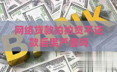 网络贷款不还款后果严重吗