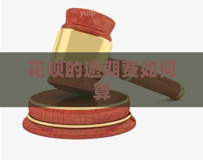 白条的逾期费如何算