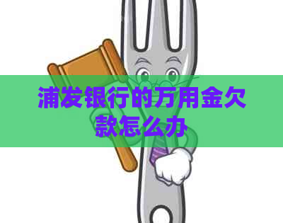 浦发银行的万用金欠款怎么办