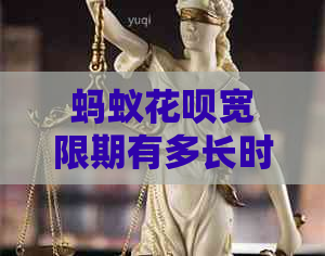 蚂蚁白条宽限期有多长时间