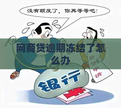 白条贷逾期冻结了怎么办
