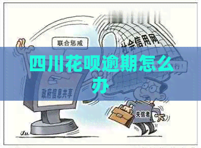 四川白条逾期怎么办