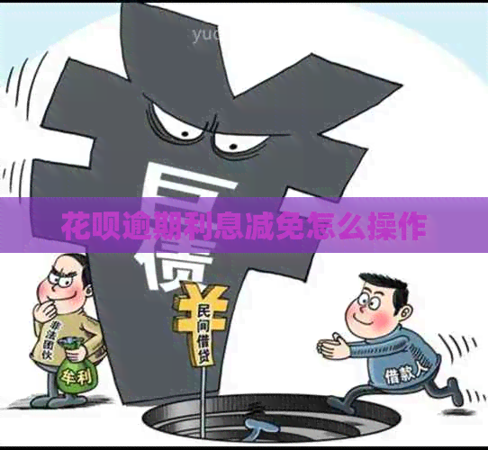 白条逾期利息减免怎么操作