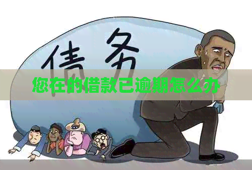 您在的借款已逾期怎么办