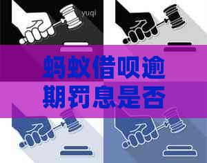蚂蚁信用卡逾期罚息是否能减免