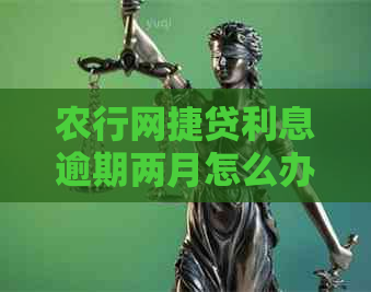 农行网捷贷利息逾期两月怎么办呢