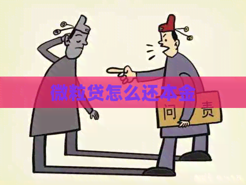 微粒贷怎么还本金