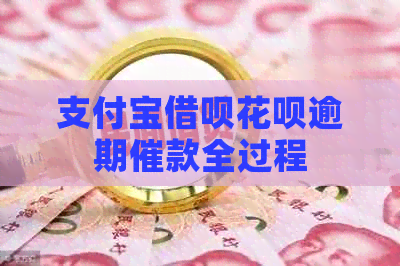 信用卡信用卡白条逾期催款全过程