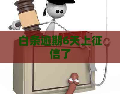 白条逾期6天上了