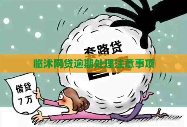临沭网贷逾期处理注意事项