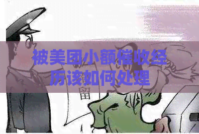 被美团小额经历该如何处理