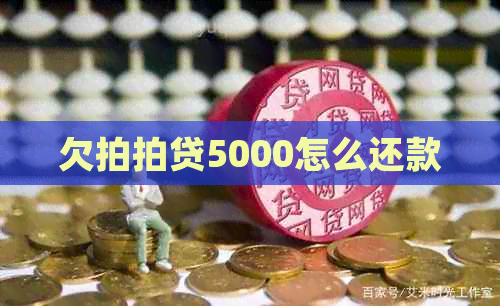 欠5000怎么还款