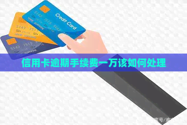 信用卡逾期手续费一万该如何处理
