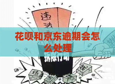 白条和京东逾期会怎么处理