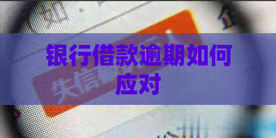 银行借款逾期如何应对