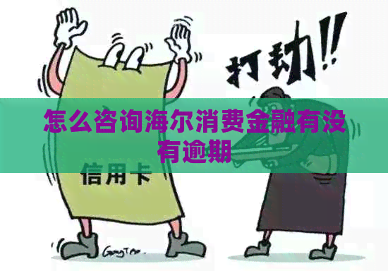 怎么咨询海尔消费金融有没有逾期