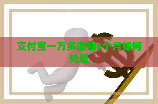 信用卡一万多逾期6个月如何处理