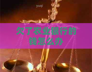 欠了农业银行的钱怎么办