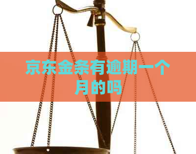 京东金条有逾期一个月的吗
