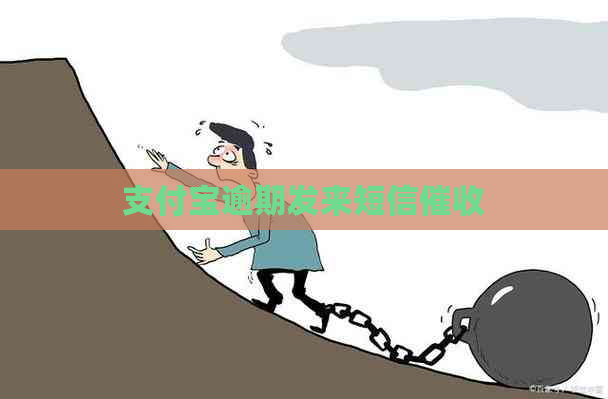 信用卡逾期发来短信