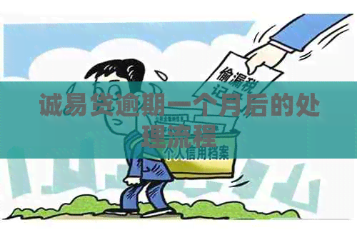 诚易贷逾期一个月后的处理流程
