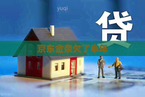 京东金条欠了半年