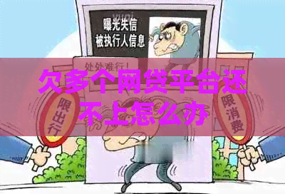欠多个网贷平台还不上怎么办