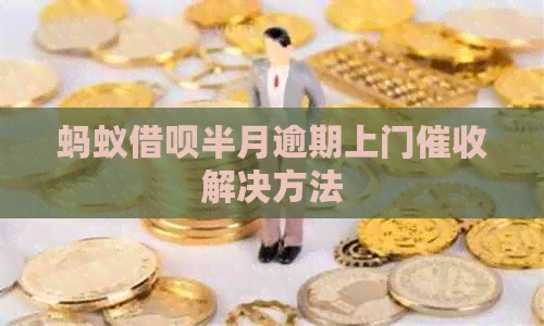 蚂蚁信用卡半月逾期上门解决方法