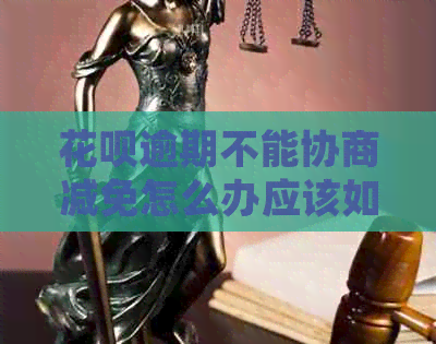 白条逾期不能协商减免怎么办应该如何处理