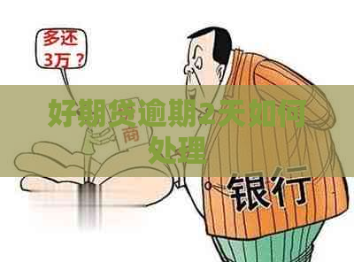 好期贷逾期2天如何处理
