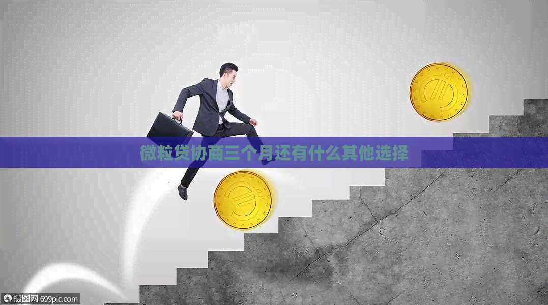 微粒贷协商三个月还有什么其他选择