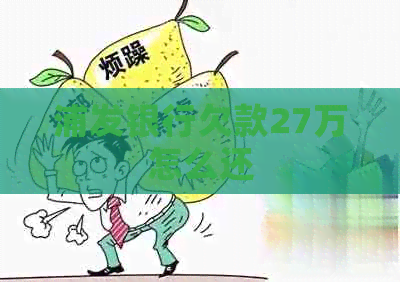 浦发银行欠款27万怎么还