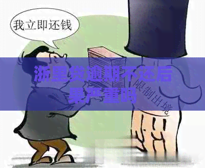 浙里贷逾期不还后果严重吗