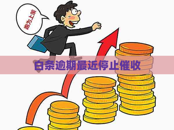 白条逾期最近停止