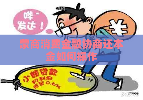 蒙商消费金融协商还本金如何操作