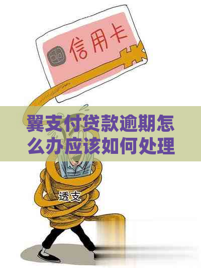 翼支付贷款逾期怎么办应该如何处理