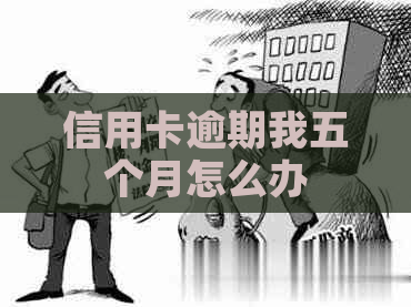 信用卡逾期我五个月怎么办