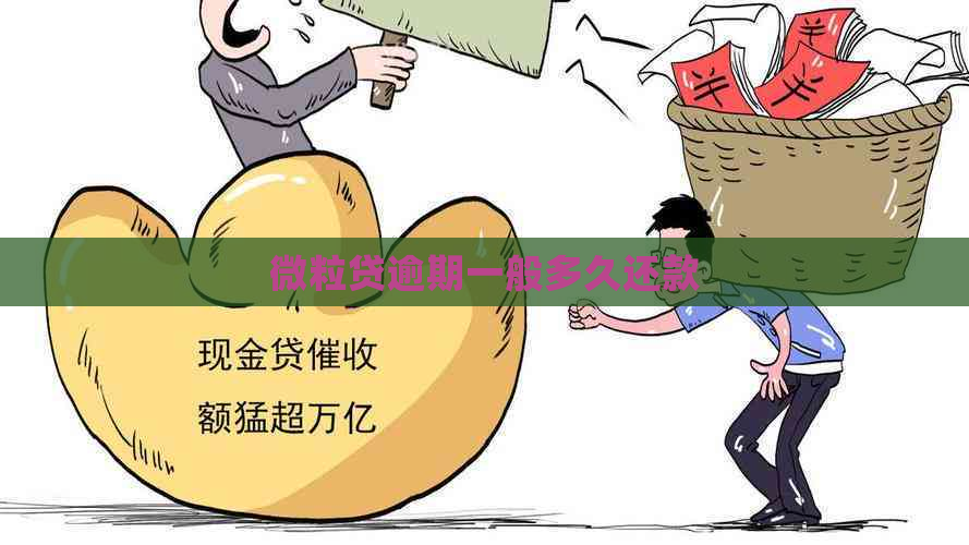 微粒贷逾期一般多久还款