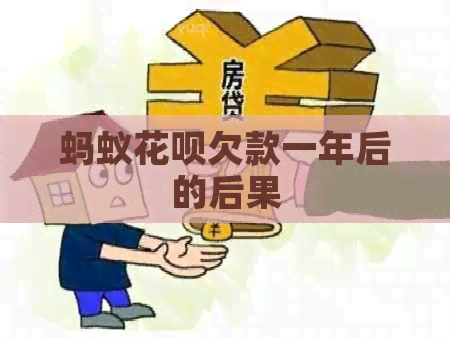 蚂蚁白条欠款一年后的后果