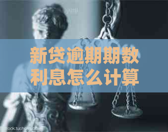 新贷逾期期数利息怎么计算
